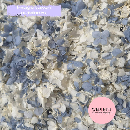 Ivory & Dusty Blue Hydrangea petals