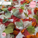 Petal Confetti hydrangea - Autumn October Sage