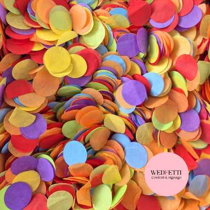 Circles Large 2.5cm Biodegradable - Classic Party Mix DB BY