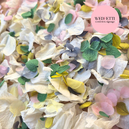 Petal Confetti hydrangea - Light Ivory Dusty Blue lemon 2 green blush