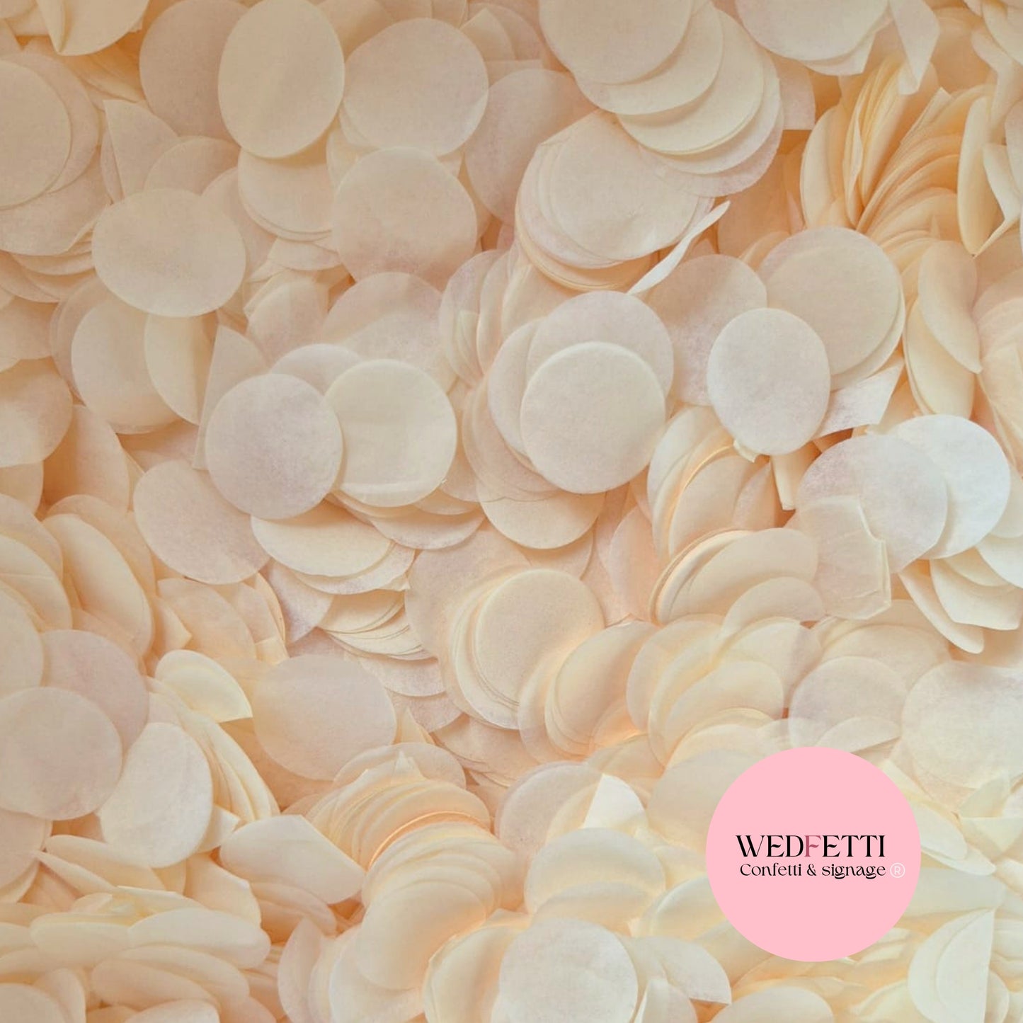 Circles Large 2.5cm Biodegradable - Medium Ivory