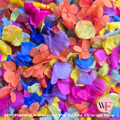 Petal Confetti hydrangea - Summer Party Mix Orange Blue
