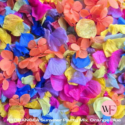 Petal Confetti hydrangea - Summer Party Mix Orange Blue