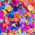 Petal Confetti hydrangea - Summer Party Mix Orange Blue