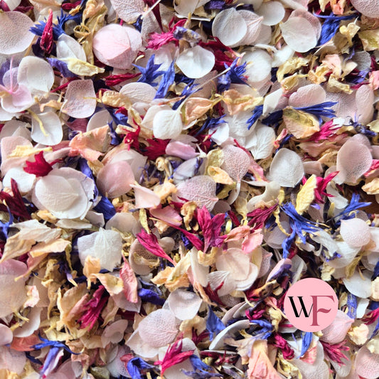 Natural Cornflower Delphinium & Snow Petal® mix - Blush Burgundy Blue