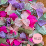 Petal Confetti hydrangea - Sage Pink Hydrangea mix Purple Fuschia
