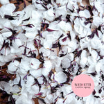 Snow Petal Confetti® - Snow Petals - White + PurpleBlack Cornflower
