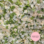 Paper Confetti hearts 1.5cm - Deep Sage Ivory