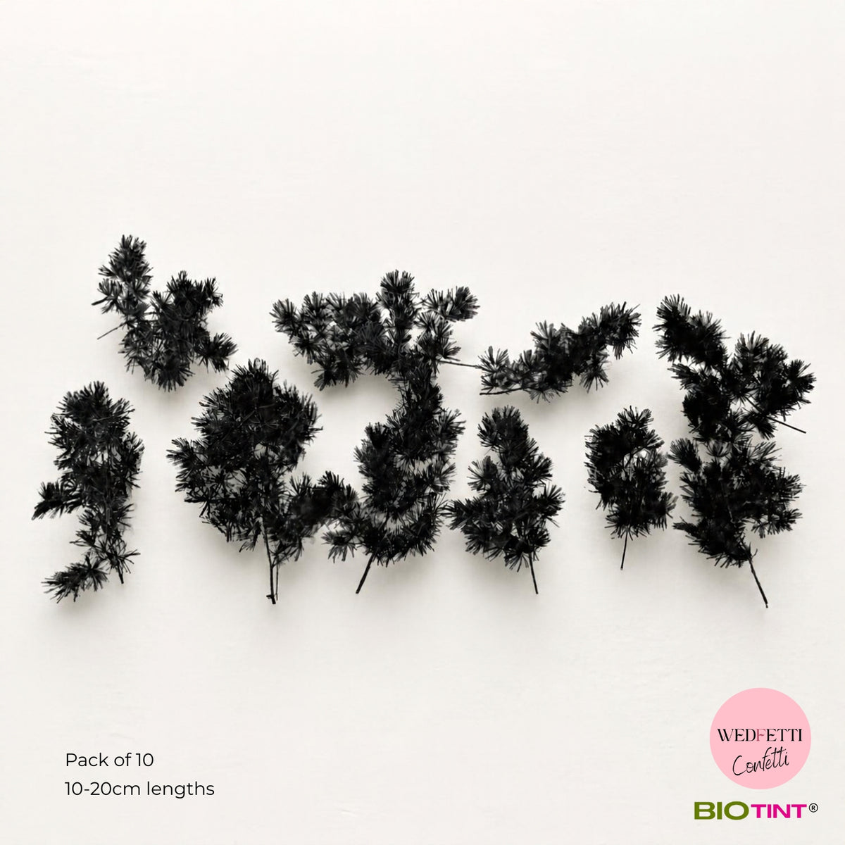 Dried & Preserved Pine Leaves on Stems