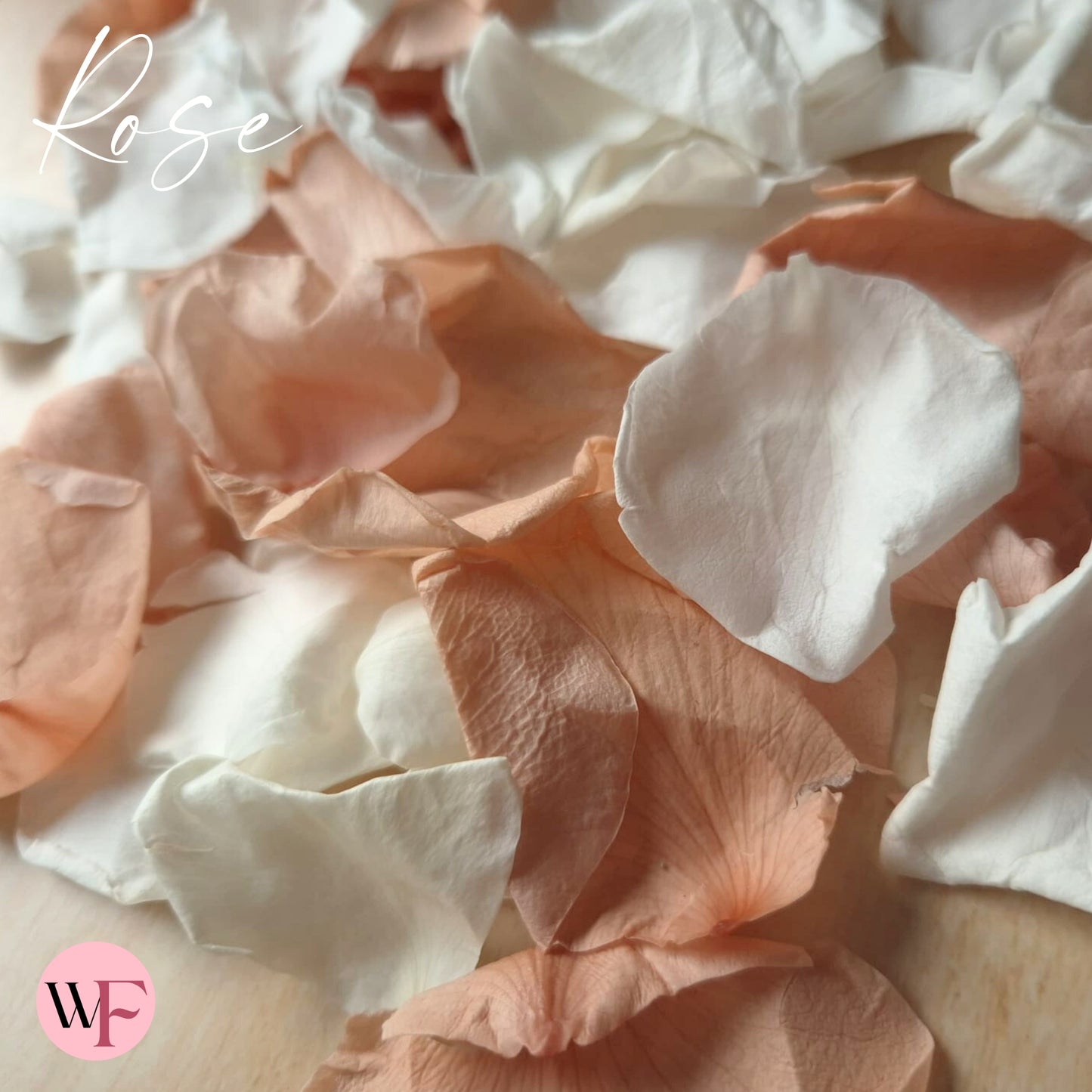 Rose Petals - White Champagne