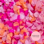 Petal Confetti hydrangea - Double Pink Orange
