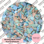 Slow falling paper Confetti - Dusty Blue mint burnt Peach
