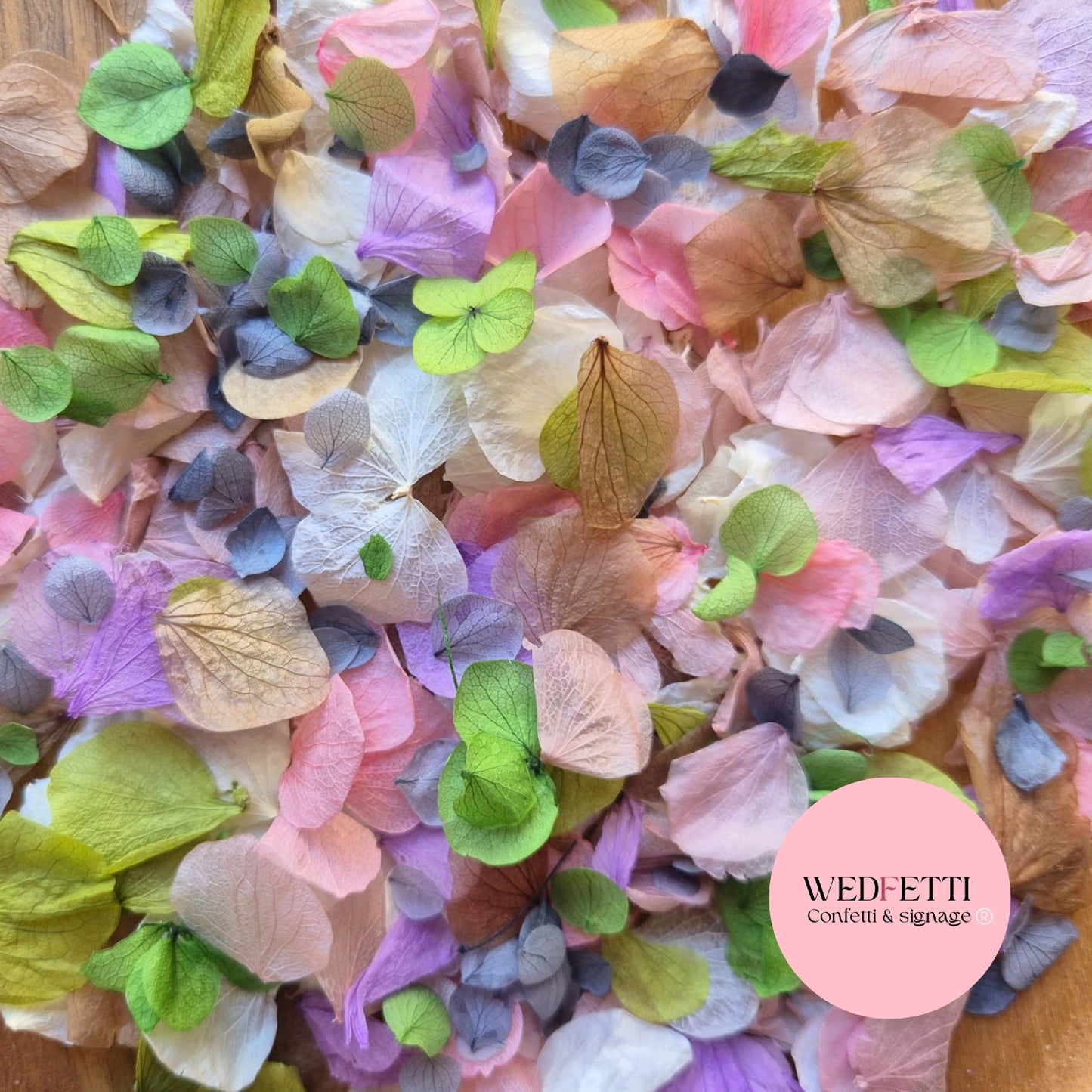 Petal Confetti hydrangea - Autumn Party Mix