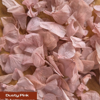 Create your own custom Hydrangea Petal Confetti mix