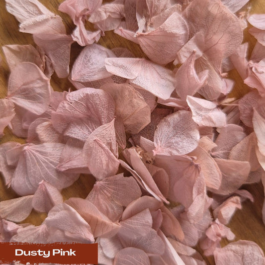 Create your own custom Hydrangea Petal Confetti mix