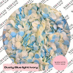 Slow falling paper Confetti - Dusty Blue Light Blue Ivory