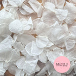 Hydrangea Petals - Wedding White