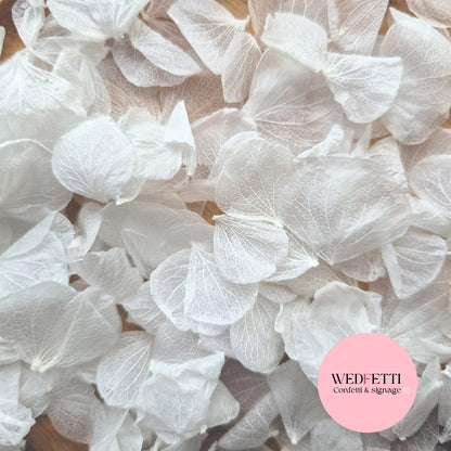Hydrangea Petals - Wedding White