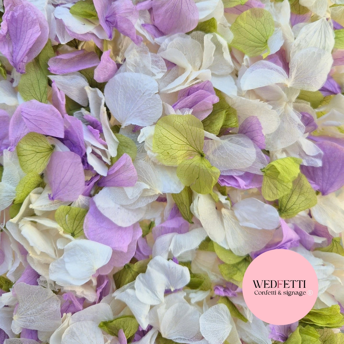 Petal Confetti hydrangea - Light Ivory Sage Light Purple