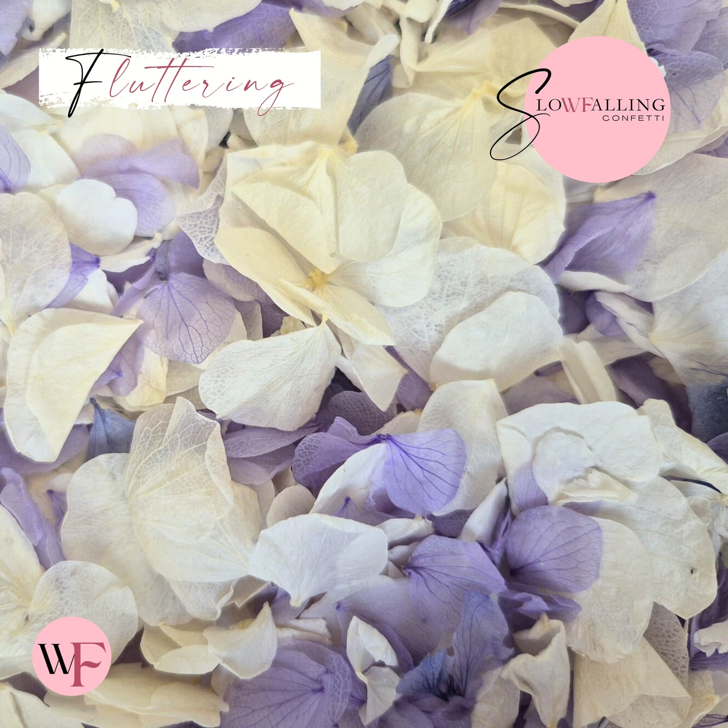 Petal Confetti hydrangea - Soft Purple White