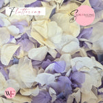Petal Confetti hydrangea - Soft Purple White