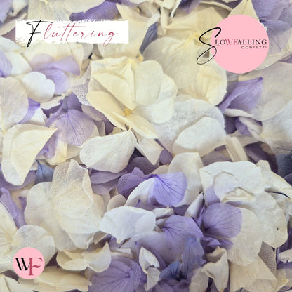 Petal Confetti hydrangea - Soft Purple White