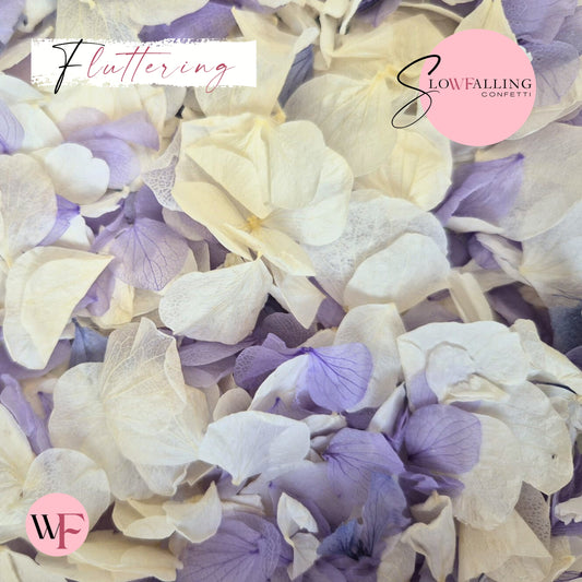 Petal Confetti hydrangea - Soft Purple White