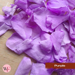 Rose Petals - Purple