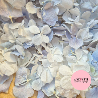 FlutterFly Petal Confetti - Dusty Blue white Hydrangea mix