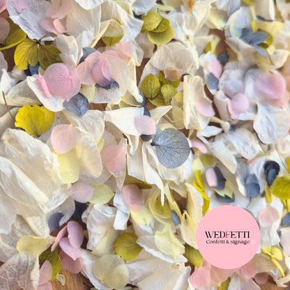 Petal Confetti hydrangea - Light Ivory Dusty Blue lemon deep sage blush
