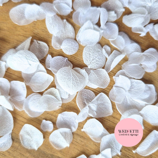 Snow Petal Confetti® - Snow Petals - White