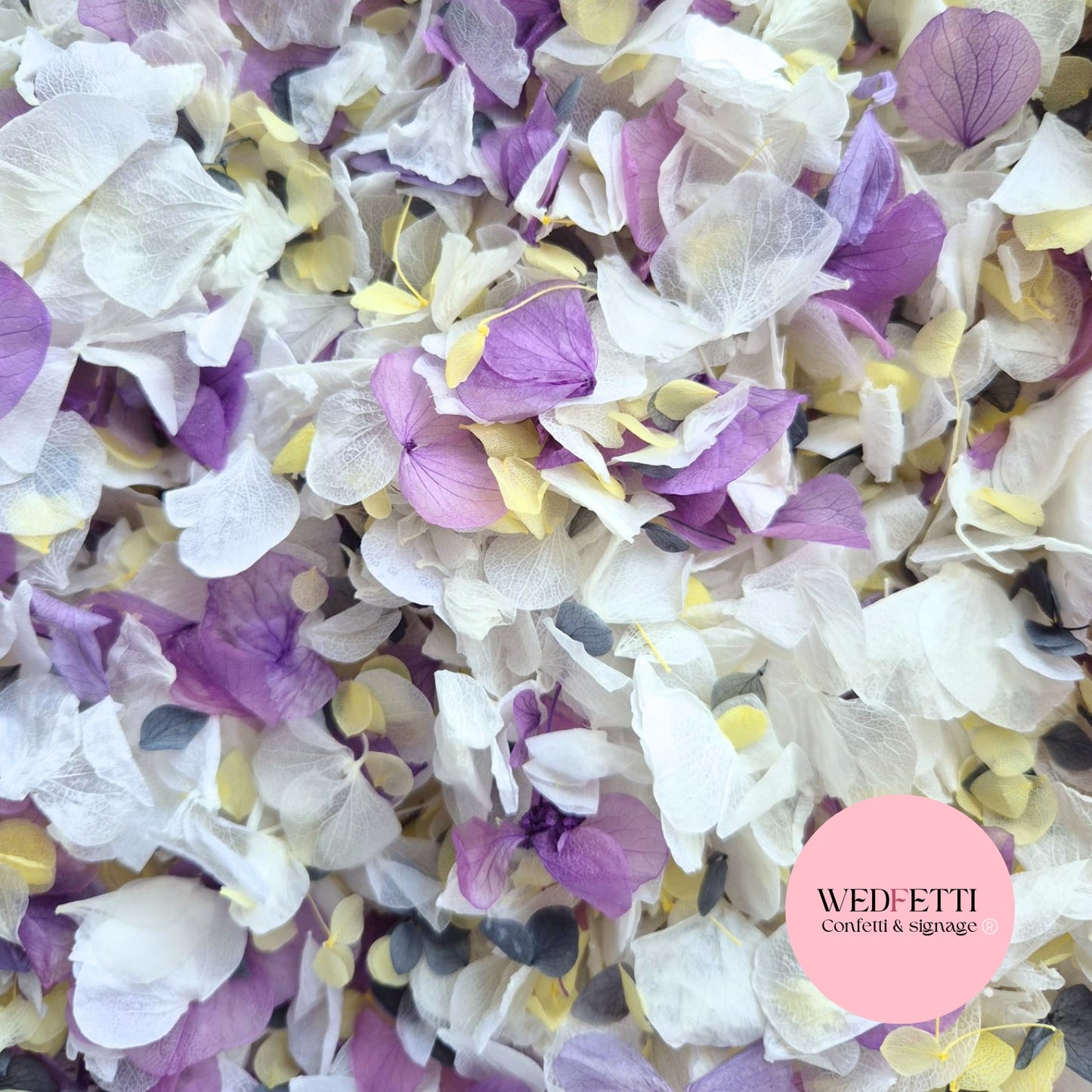 Petal Confetti hydrangea - Purple White Dusty Blue Lemon