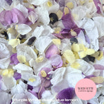 Petal Confetti hydrangea - Purple White Dusty Blue Lemon