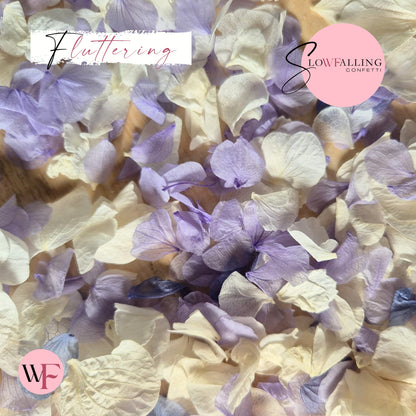 Petal Confetti hydrangea - Soft Purple White