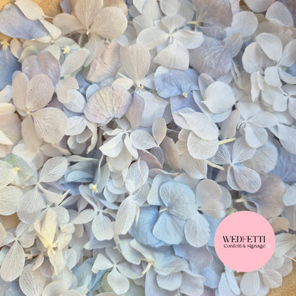 FlutterFly Petal Confetti - Dusty Blue white Hydrangea mix