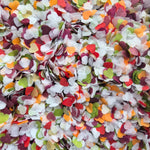 Paper Confetti hearts 1.5cm - Plum Burgundy Burnt orange White deep sage Red Gold