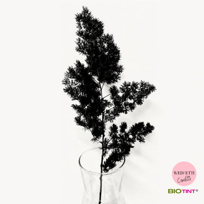 Dried & Preserved Pine Leaves on Stems