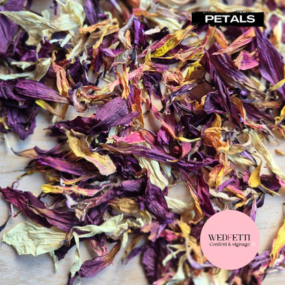 Purple Sangria Petal Confetti