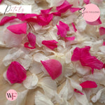 Petal Confetti hydrangea - White Fuschia