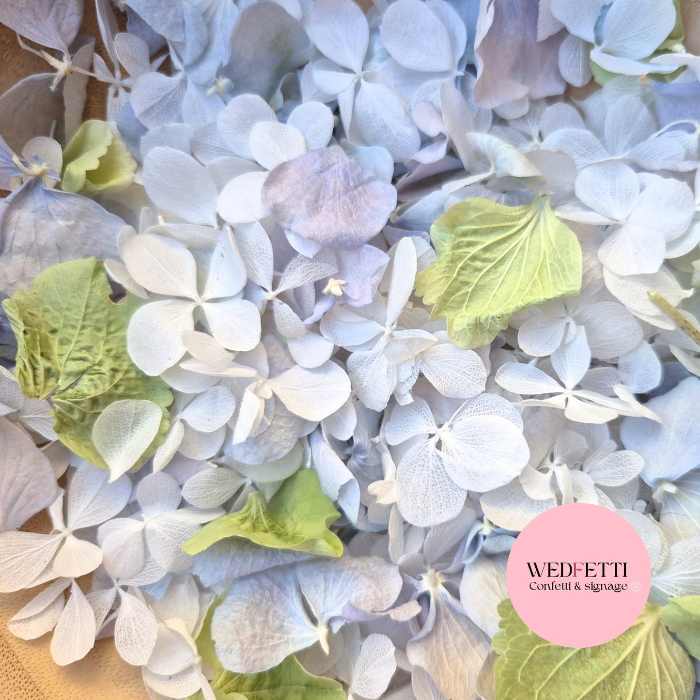 FlutterFly® Petal Confetti - Dusty Blue green white Hydrangea mix