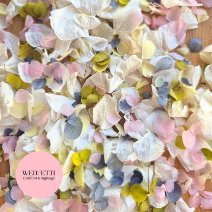 Petal Confetti hydrangea - Light Ivory Dusty Blue lemon deep sage blush
