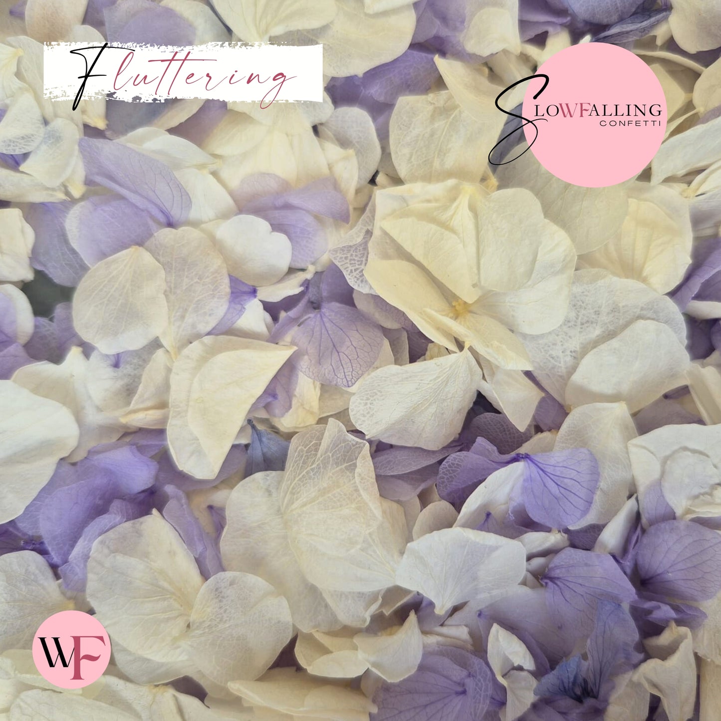 Petal Confetti hydrangea - Soft Purple White