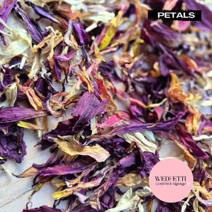 Purple Sangria Petal Confetti