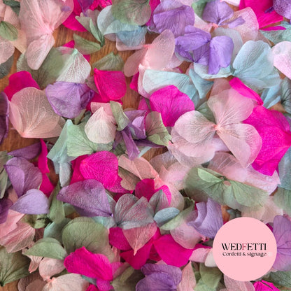 Petal Confetti hydrangea - Sage Pink Hydrangea mix Purple Fuschia