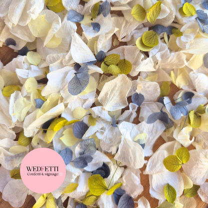 Petal Confetti hydrangea - Light Ivory Dusty Blue lemon deep sage