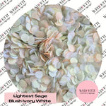 Slow falling paper Confetti - Lightest Sage Blush Ivory White