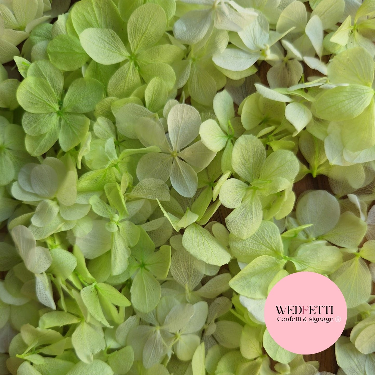 FlutterFly® Petal Confetti - Light Green Gradient