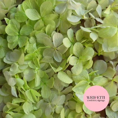 FlutterFly® Petal Confetti - Light Green Gradient