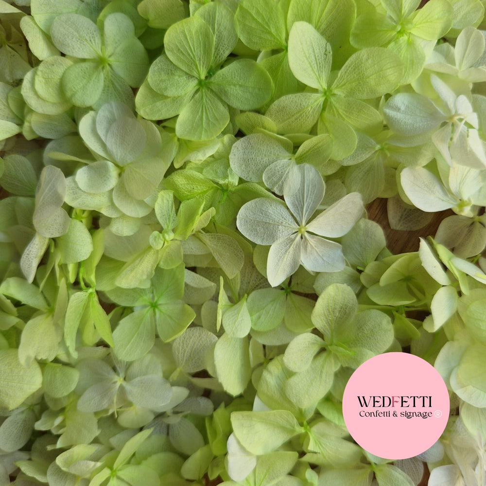 FlutterFly® Petal Confetti - Light Green Gradient