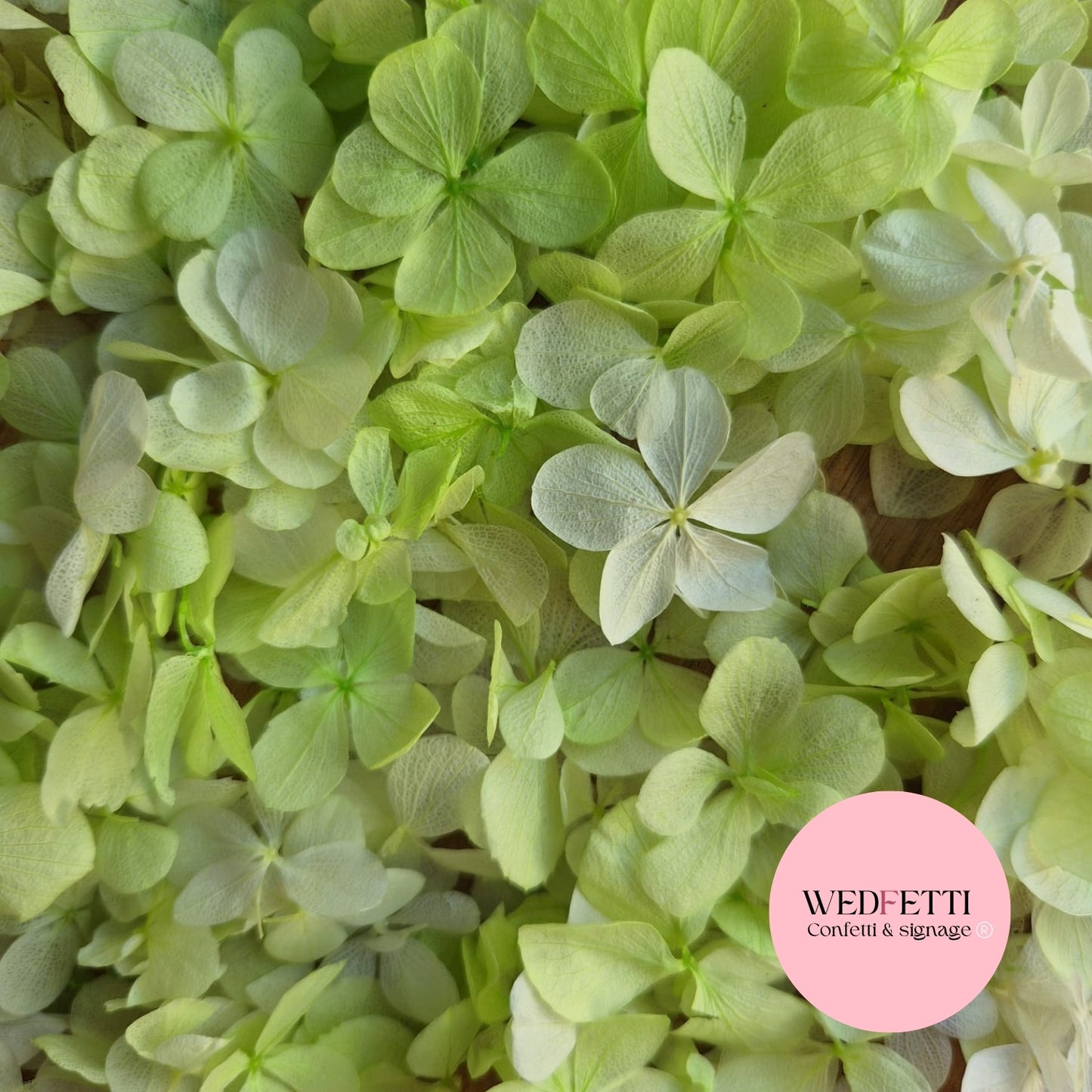 FlutterFly® Petal Confetti - Light Green Gradient